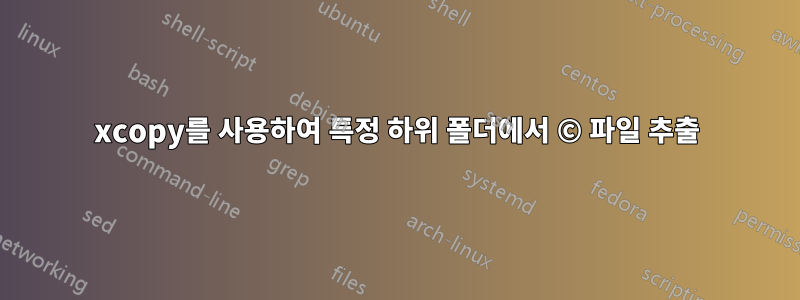 xcopy를 사용하여 특정 하위 폴더에서 © 파일 추출