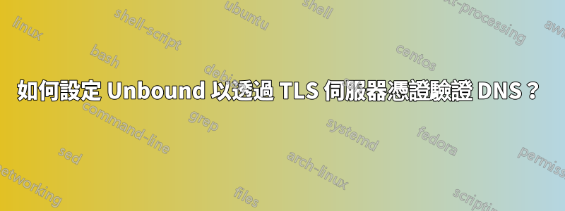 如何設定 Unbound 以透過 TLS 伺服器憑證驗證 DNS？
