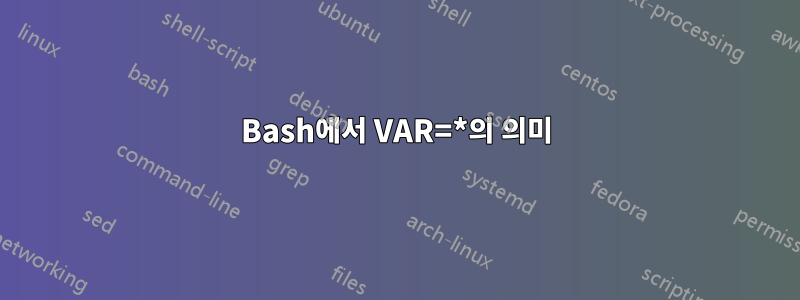 Bash에서 VAR=*의 의미