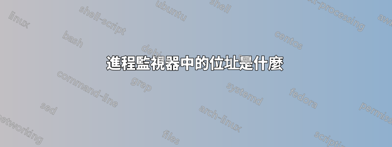 進程監視器中的位址是什麼