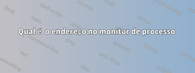 Qual é o endereço no monitor de processo