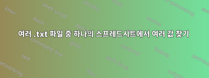 여러 .txt 파일 중 하나의 스프레드시트에서 여러 값 찾기