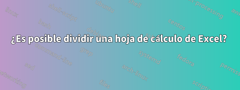 ¿Es posible dividir una hoja de cálculo de Excel?