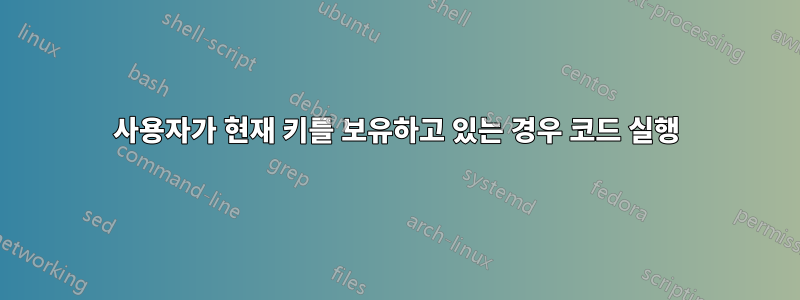 사용자가 현재 키를 보유하고 있는 경우 코드 실행