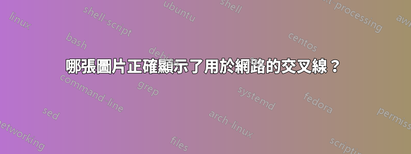 哪張圖片正確顯示了用於網路的交叉線？