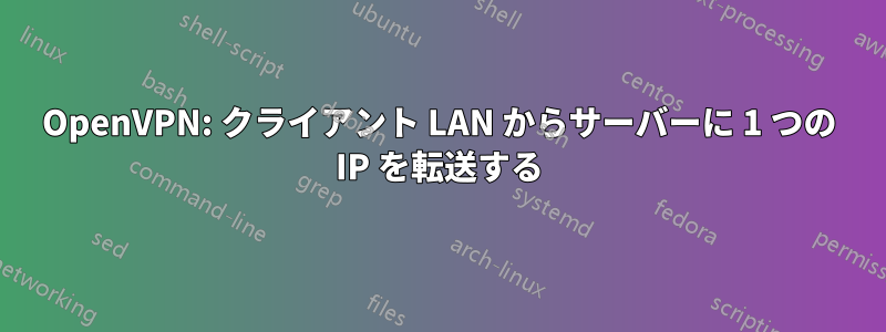 OpenVPN: クライアント LAN からサーバーに 1 つの IP を転送する