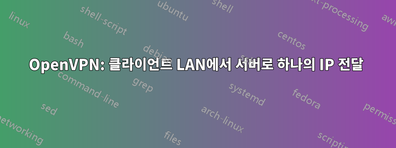 OpenVPN: 클라이언트 LAN에서 서버로 하나의 IP 전달