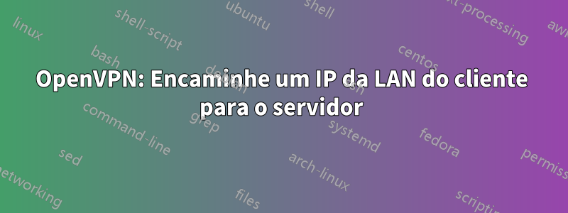 OpenVPN: Encaminhe um IP da LAN do cliente para o servidor