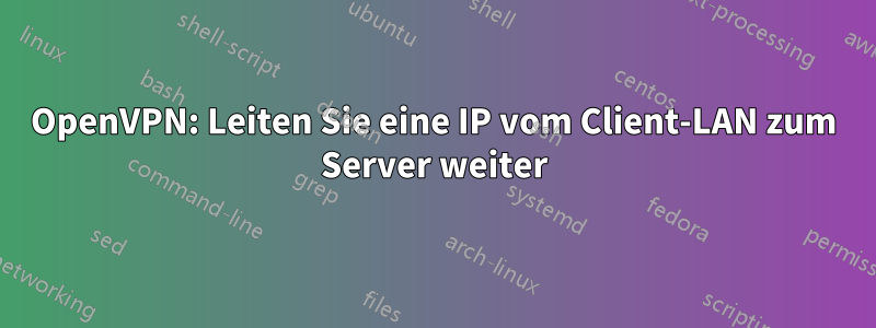 OpenVPN: Leiten Sie eine IP vom Client-LAN ​​zum Server weiter