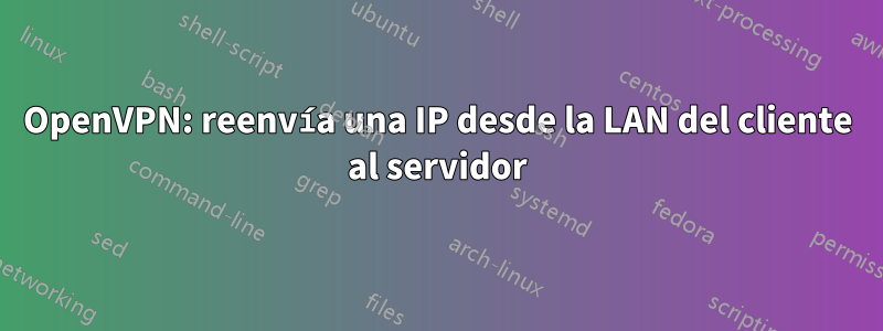 OpenVPN: reenvía una IP desde la LAN del cliente al servidor