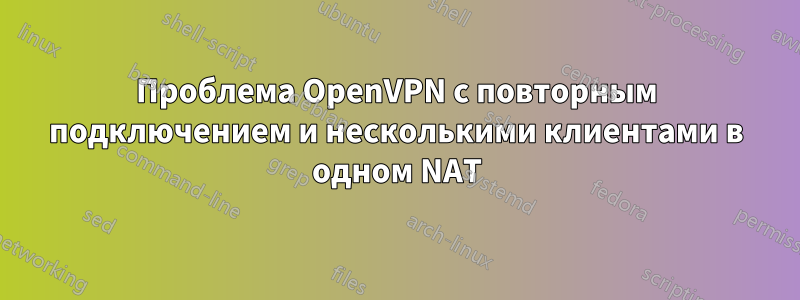 Проблема OpenVPN с повторным подключением и несколькими клиентами в одном NAT