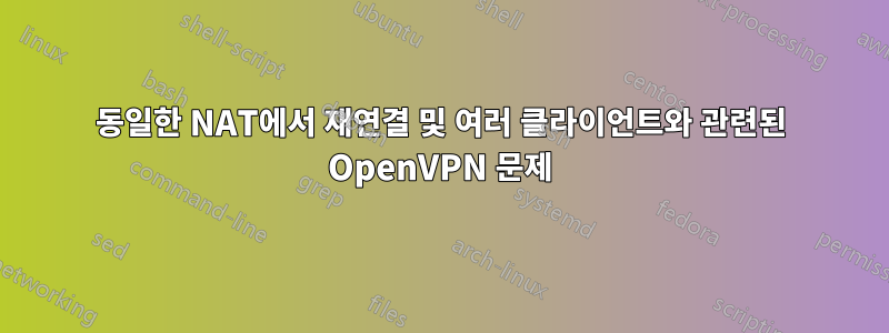 동일한 NAT에서 재연결 및 여러 클라이언트와 관련된 OpenVPN 문제