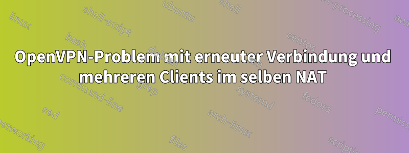 OpenVPN-Problem mit erneuter Verbindung und mehreren Clients im selben NAT