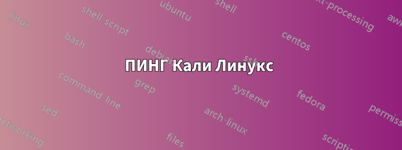 ПИНГ Кали Линукс