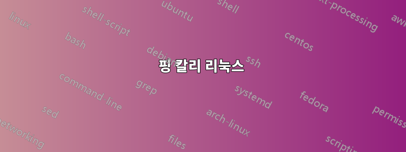 핑 칼리 리눅스