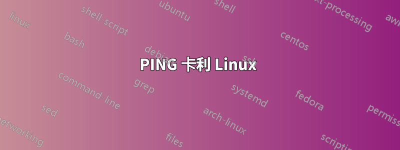 PING 卡利 Linux