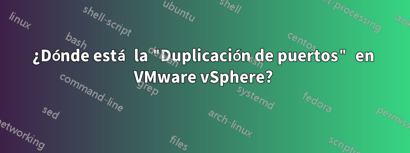 ¿Dónde está la "Duplicación de puertos" en VMware vSphere?