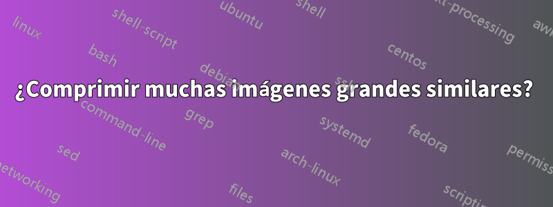 ¿Comprimir muchas imágenes grandes similares?