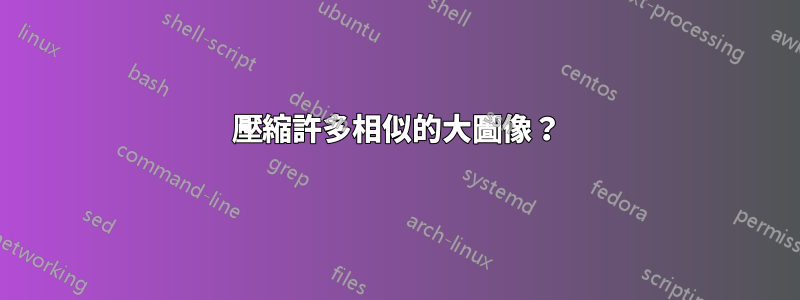 壓縮許多相似的大圖像？