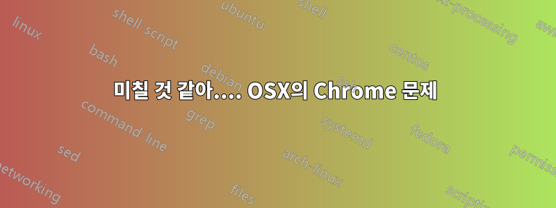 미칠 것 같아.... OSX의 Chrome 문제