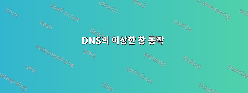 DNS의 이상한 창 동작