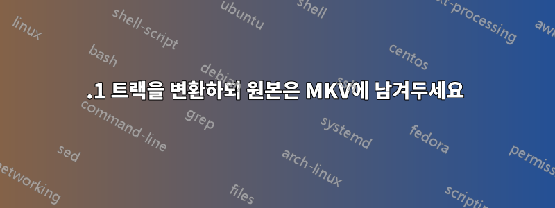 5.1 트랙을 변환하되 원본은 MKV에 남겨두세요