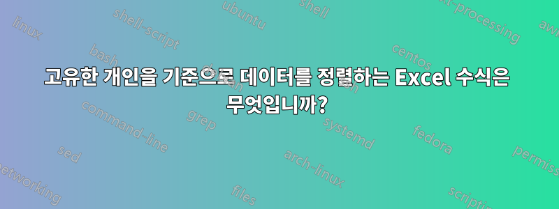 고유한 개인을 기준으로 데이터를 정렬하는 Excel 수식은 무엇입니까?