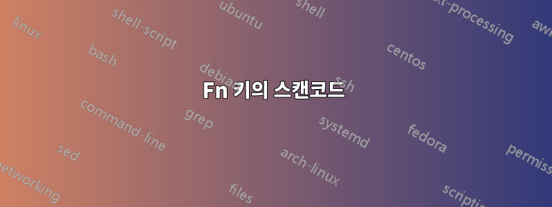 Fn 키의 스캔코드