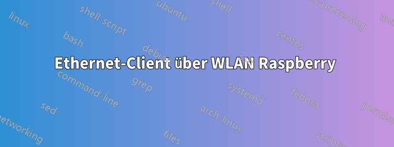 Ethernet-Client über WLAN Raspberry