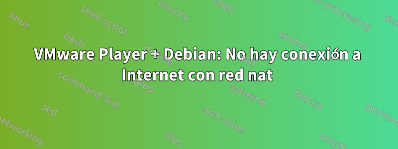 VMware Player + Debian: No hay conexión a Internet con red nat