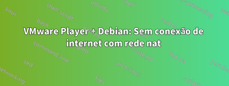 VMware Player + Debian: Sem conexão de internet com rede nat