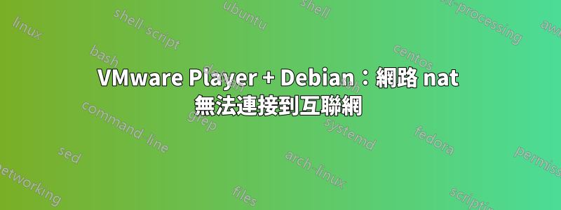 VMware Player + Debian：網路 nat 無法連接到互聯網