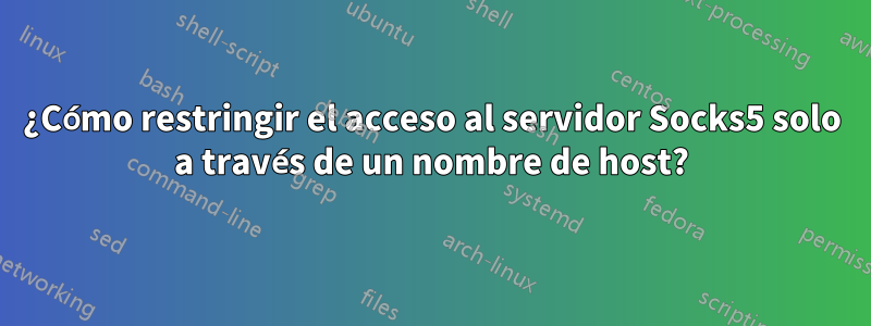 ¿Cómo restringir el acceso al servidor Socks5 solo a través de un nombre de host?