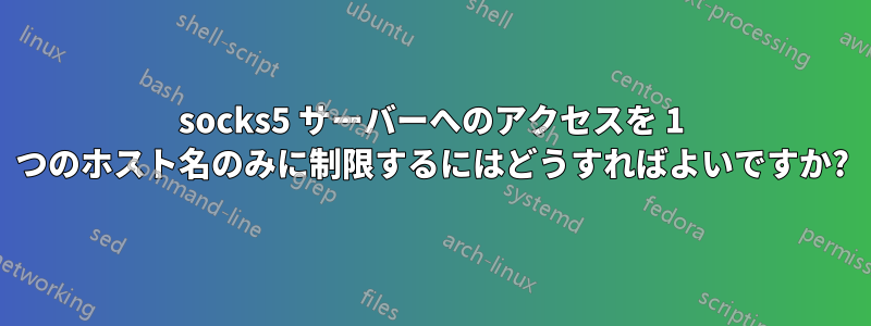 socks5 サーバーへのアクセスを 1 つのホスト名のみに制限するにはどうすればよいですか?