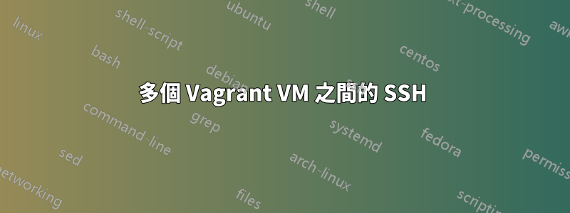 多個 Vagrant VM 之間的 SSH