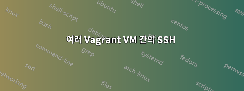 여러 Vagrant VM 간의 SSH