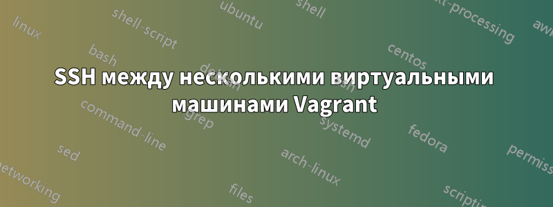 SSH между несколькими виртуальными машинами Vagrant