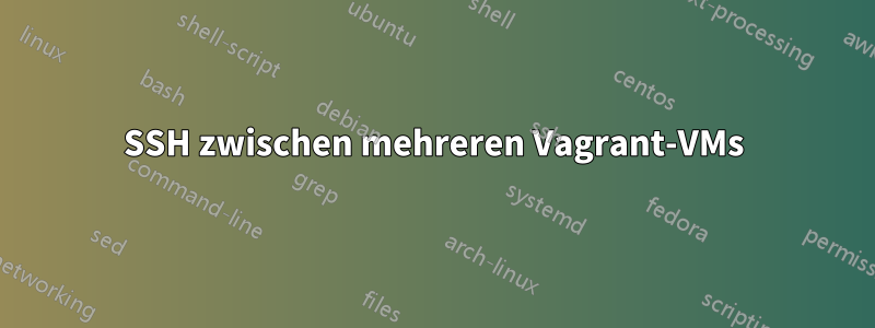 SSH zwischen mehreren Vagrant-VMs