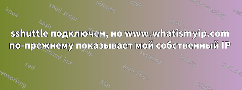 sshuttle подключен, но www.whatismyip.com по-прежнему показывает мой собственный IP