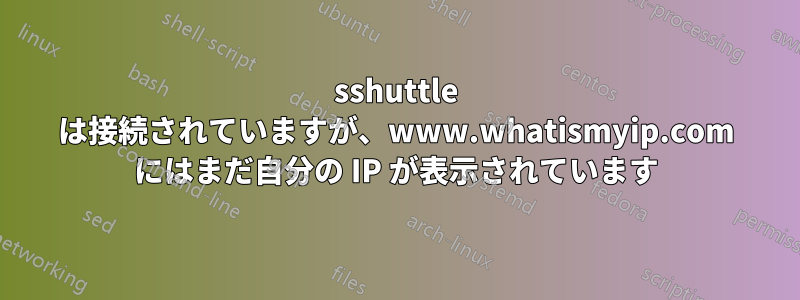 sshuttle は接続されていますが、www.whatismyip.com にはまだ自分の IP が表示されています