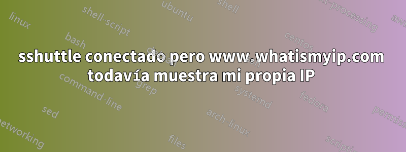 sshuttle conectado pero www.whatismyip.com todavía muestra mi propia IP