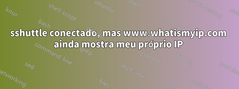 sshuttle conectado, mas www.whatismyip.com ainda mostra meu próprio IP