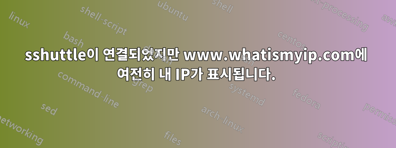 sshuttle이 연결되었지만 www.whatismyip.com에 여전히 내 IP가 표시됩니다.