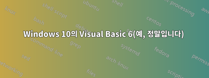 Windows 10의 Visual Basic 6(예, 정말입니다)