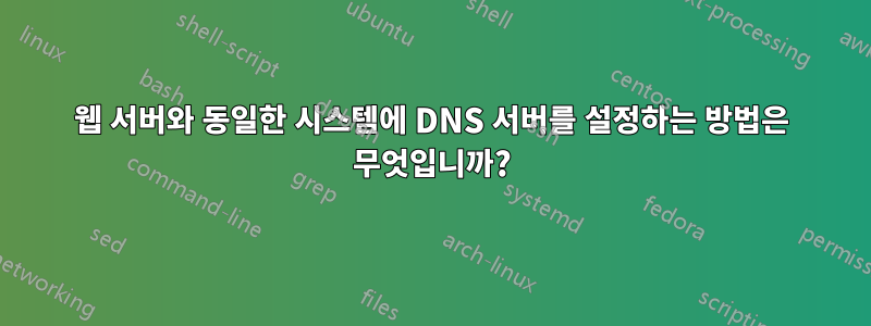 웹 서버와 동일한 시스템에 DNS 서버를 설정하는 방법은 무엇입니까?