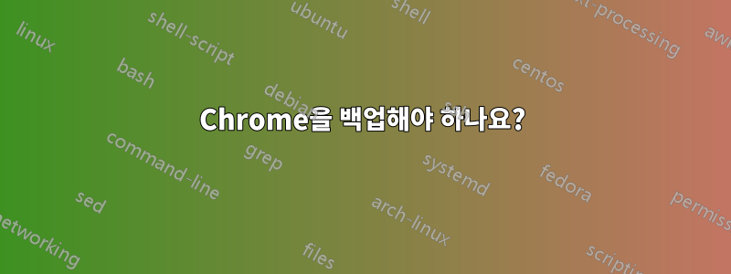 Chrome을 백업해야 하나요?