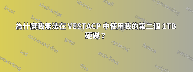 為什麼我無法在 VESTACP 中使用我的第二個 1TB 硬碟？