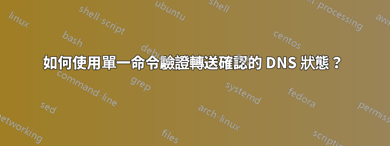 如何使用單一命令驗證轉送確認的 DNS 狀態？