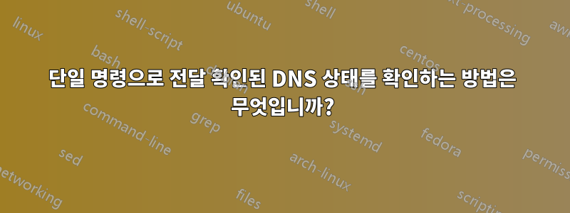 단일 명령으로 전달 확인된 DNS 상태를 확인하는 방법은 무엇입니까?