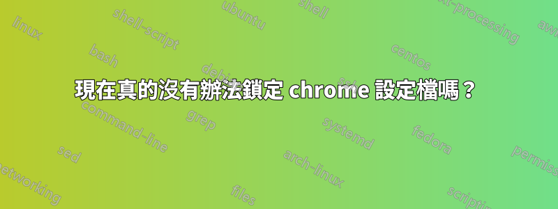 現在真的沒有辦法鎖定 chrome 設定檔嗎？